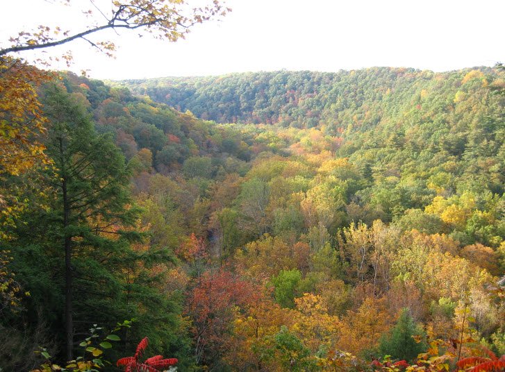 Mohican State Park